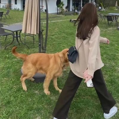 碍事者